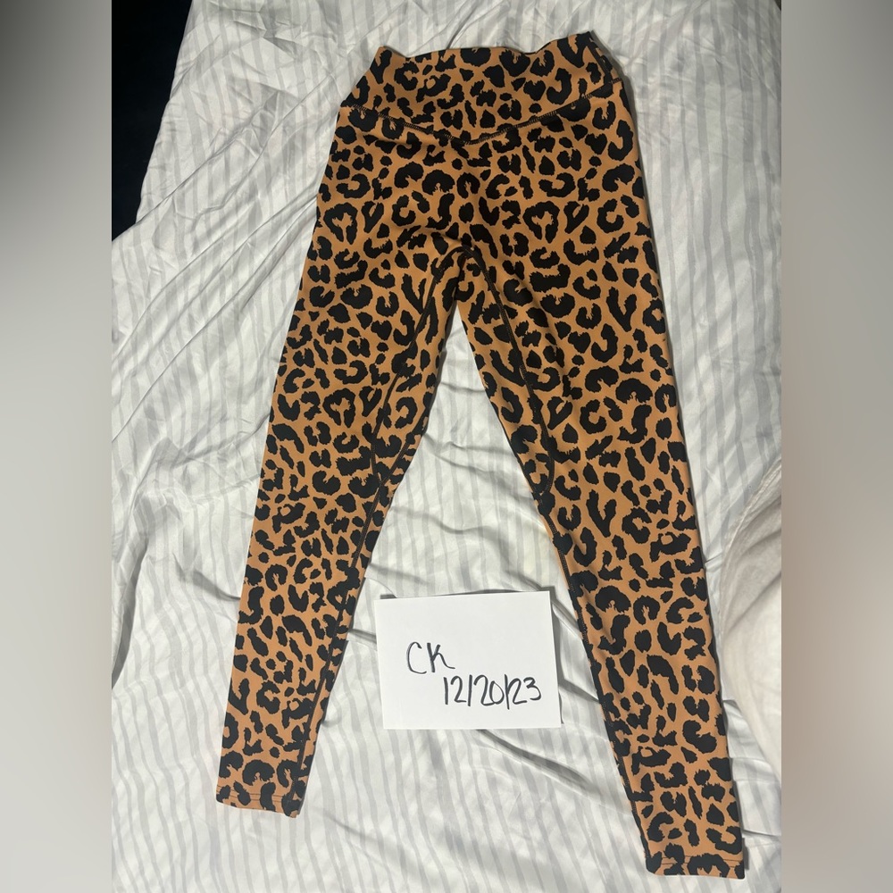 King cheetah